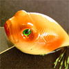 fishing lures